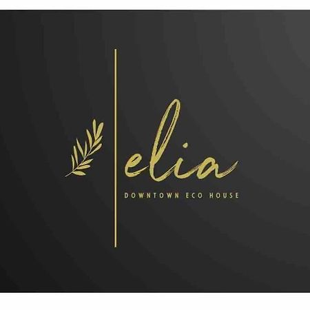 Elia Downtown Eco House Apartment Mytilíni Екстериор снимка